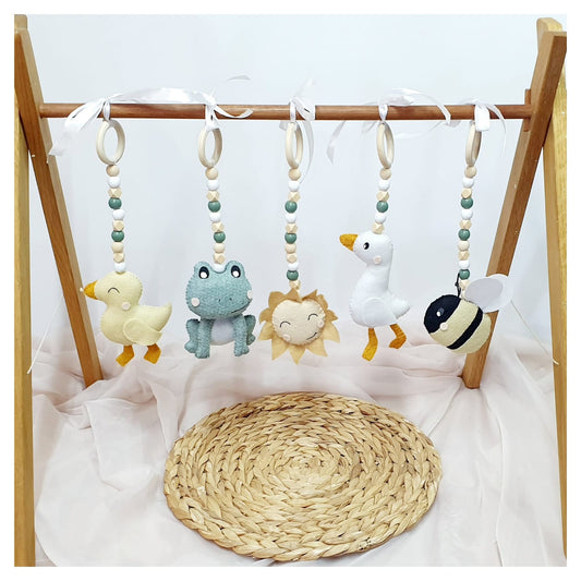 Pond Play Gym Dangles