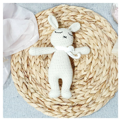 Bunny & Bear Plush Toy